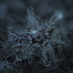Image for article titled Amazing close-up photos of snowflakes taken without a microscope